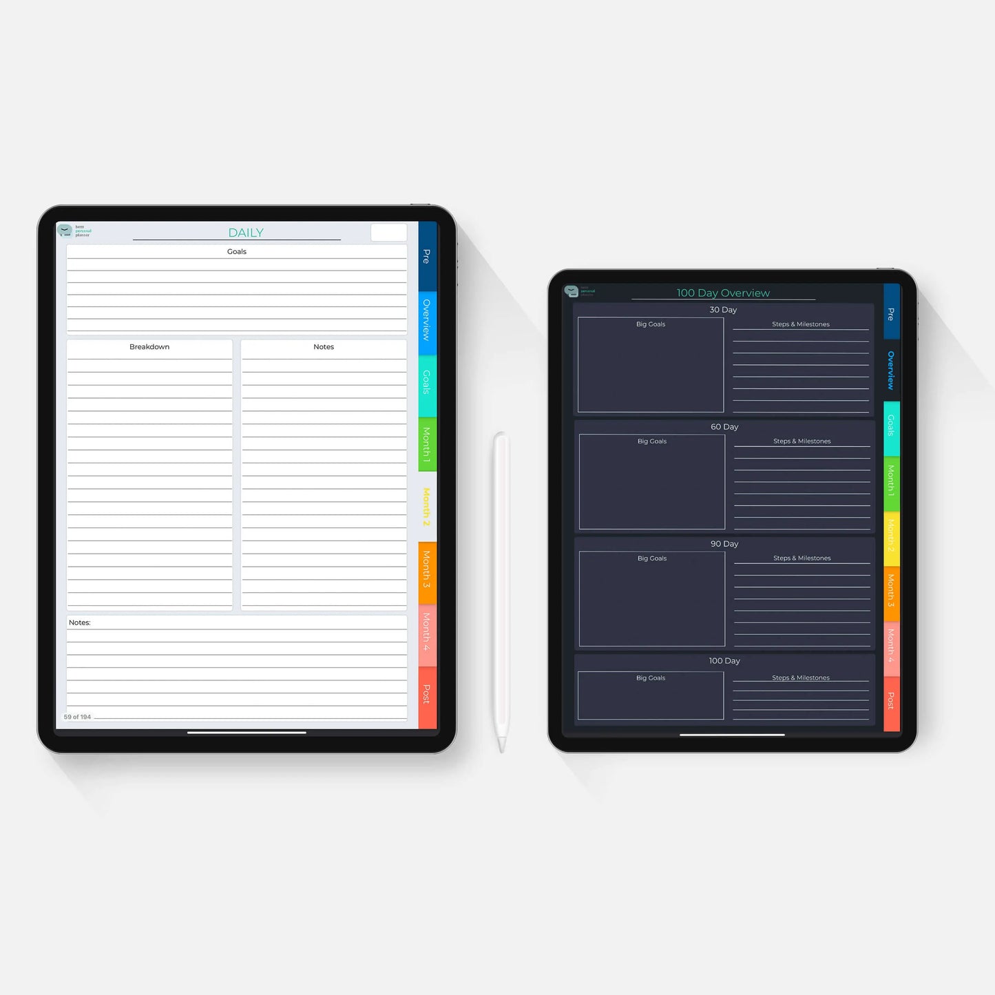 100 day planner overview