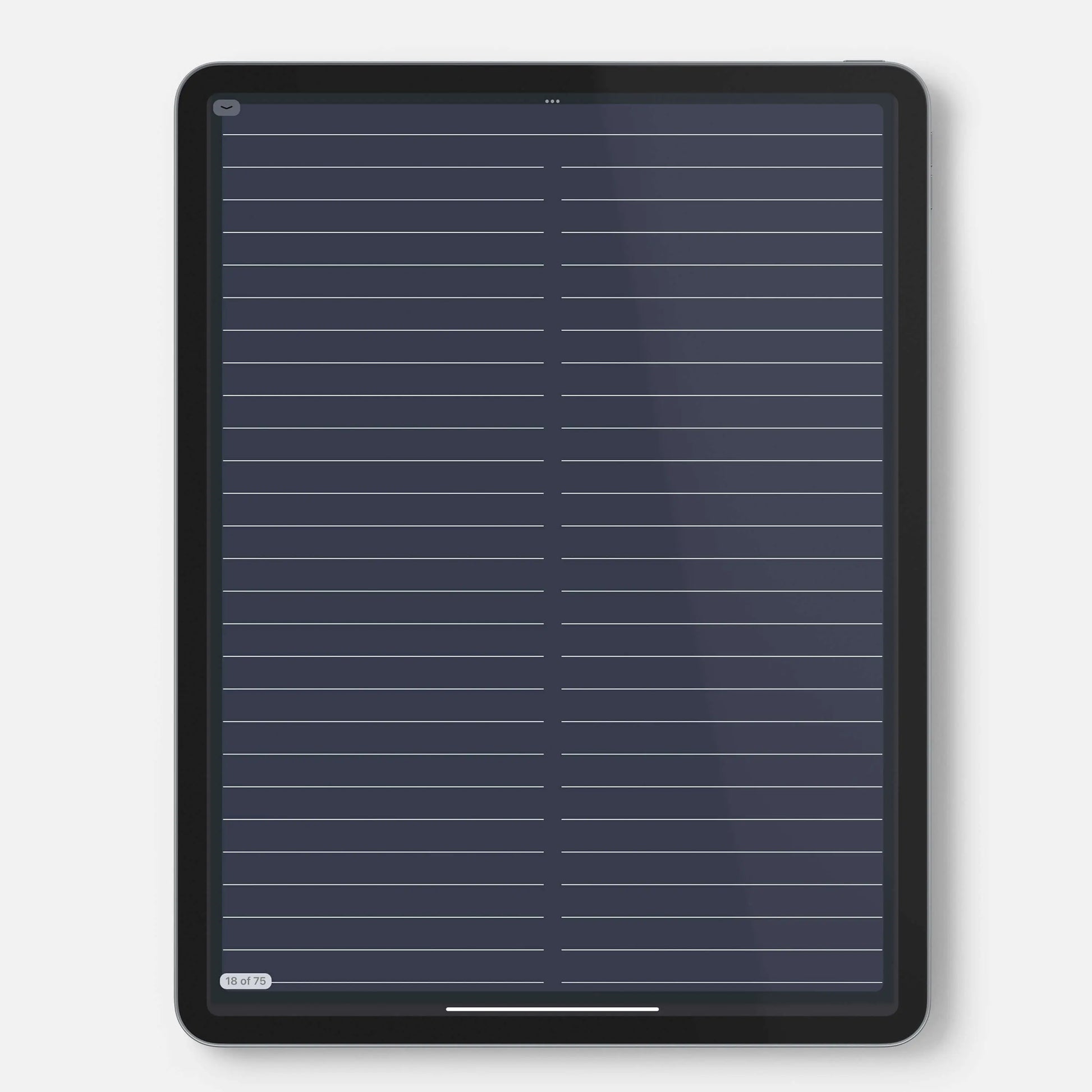 digital bullet journal double line page template