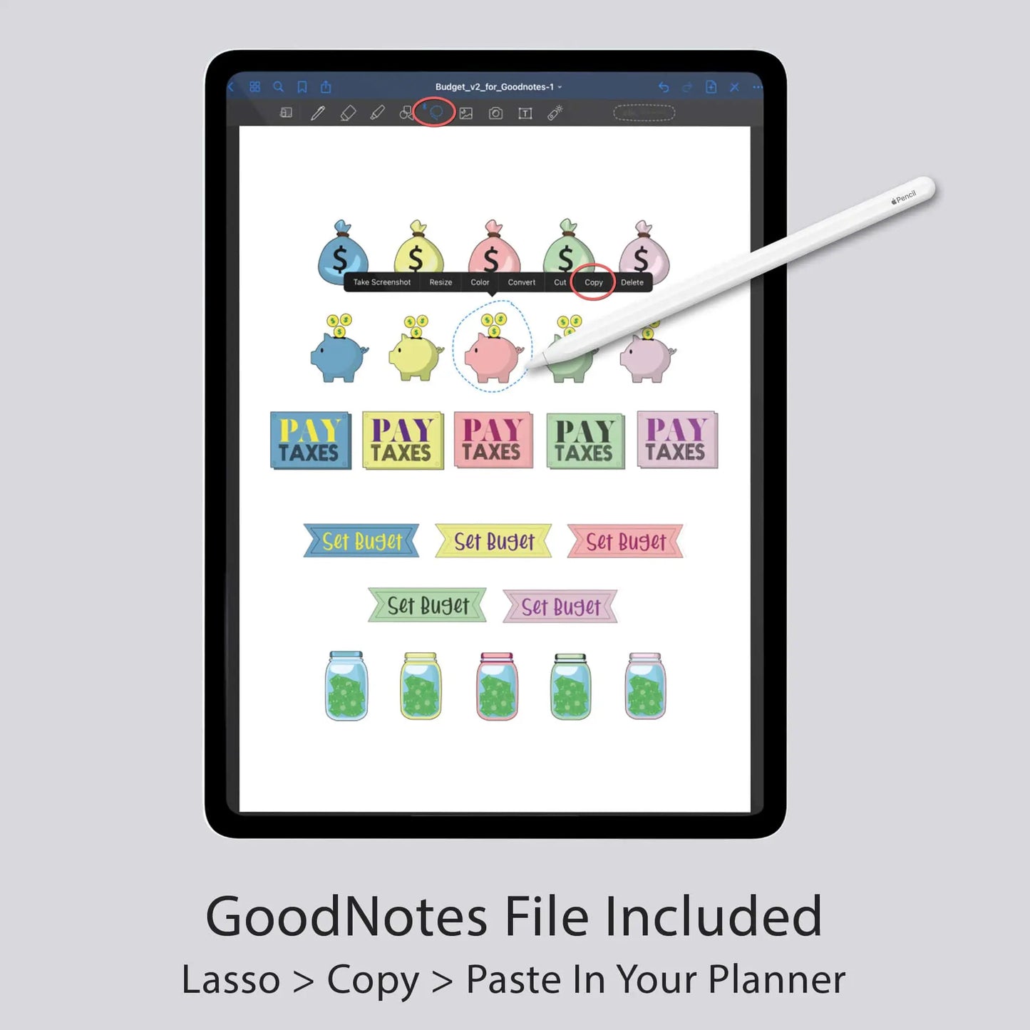 digital budget planner stickers
